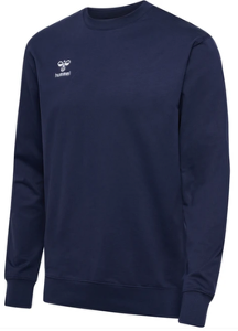 Collegegenser marine